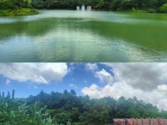 -广州白江湖森林公园