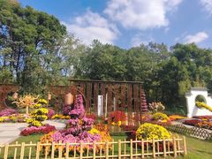 -上海共青森林公园