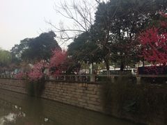 iphone_upload_pic-全季酒店（苏州观前街平江路店）(原临顿路地铁站店)
