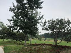 -北京美神宫艺术主题温泉酒店