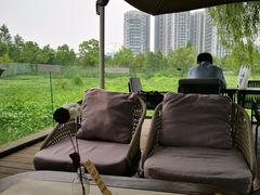 -洋湖国家湿地公园
