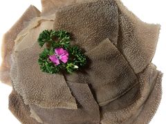 捞派脆脆毛肚-海底捞火锅(关山保利店)