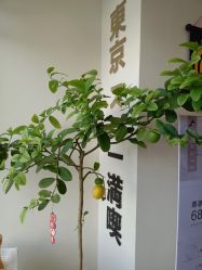 -可樱汇·美容洗发SPA