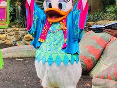 -奥兰多迪士尼动物王国乐园