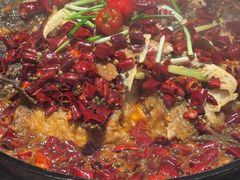 -老板恋上鱼(恒隆广场店)