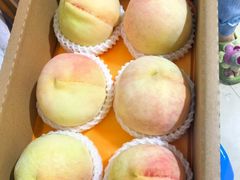 -老袁家蜜桃农场·阳山水蜜桃