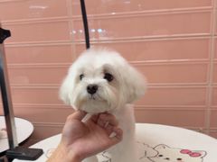 -FAELING PETS美天灵宠物(合生汇店)