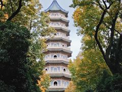 -灵谷景区