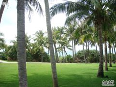 花园-三亚亚龙湾红树林度假酒店