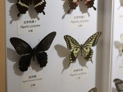 -中国湿地博物馆