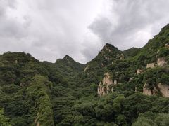 -大岭沟猕猴桃谷风景区