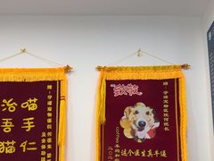 -守诺宠物医院·眼科· 神经外科·爬宠专科(虹口店)