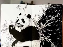 -八哥美术·成人美术画室(总校区)