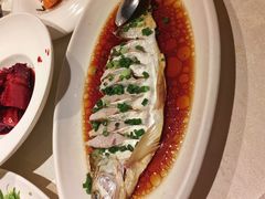 -金美华轩(东方路齐鲁店)