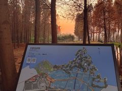 -捞渔河湿地公园