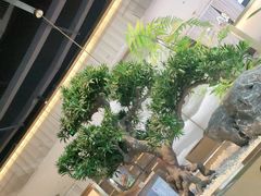 -马家斑.鲜鱼火锅(松湖万科店)