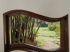 -深圳仙湖植物园