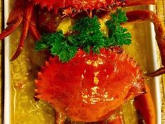 -茉莉.Red Crab