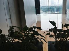 -顺风汤馆·广府粤菜(江宸天街店)