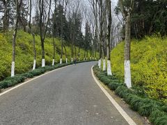 -宜兴龙背山森林公园