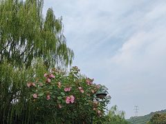 -滨江生态公园