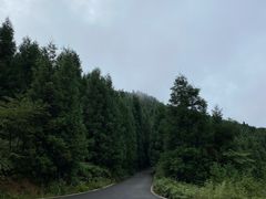 -武陵山森林公园