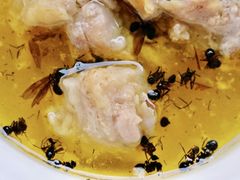 -昆虫窝子·特色云南菜(拓东路总店)