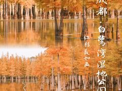 -白鹭湾湿地公园