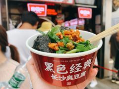 -黑色经典臭豆腐·湖南特产(坡子街店)