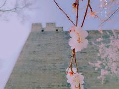 -北京明城墙遗址公园
