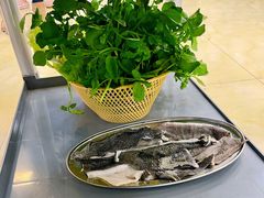 -五洞大众牛餐馆(番禺分店)
