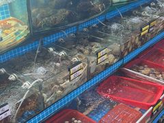 -望海潮海鲜店 特色家常菜(在海一方店)