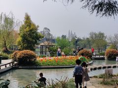 -成飞公园