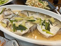 清蒸白鱼-观桥阁(锦溪店)
