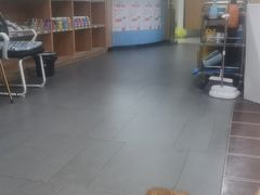 -联合动物医院(光谷诊疗中心)