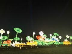 -光明小镇欢乐田园