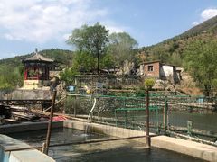 -双新垂钓园