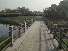-尚贤河湿地