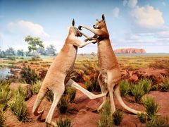 -陕西自然博物馆