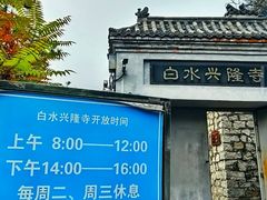 -白水寺森林公园