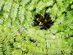 -赤水丹霞旅游区·佛光岩