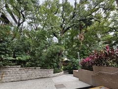 -香港大学