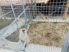 -石家庄市动物园