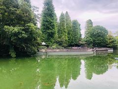 -井之头恩赐公园