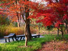 -昆山城市生态森林公园