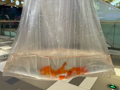 -风云再起游乐汇(南京常发广场店)