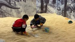 -恐龙探索乐园(磁器口店)