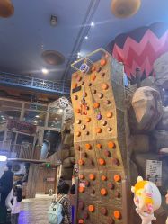 -卡通尼·Safari非洲探索乐园·生日会(金桥国际商业广场店)