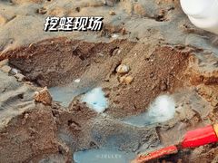 -刘家湾赶海园