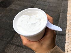 -洪馨椰子